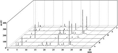 Ethyl acetate extract of Terminalia chebula alleviates DSS-induced ulcerative colitis in C57BL/6 mice